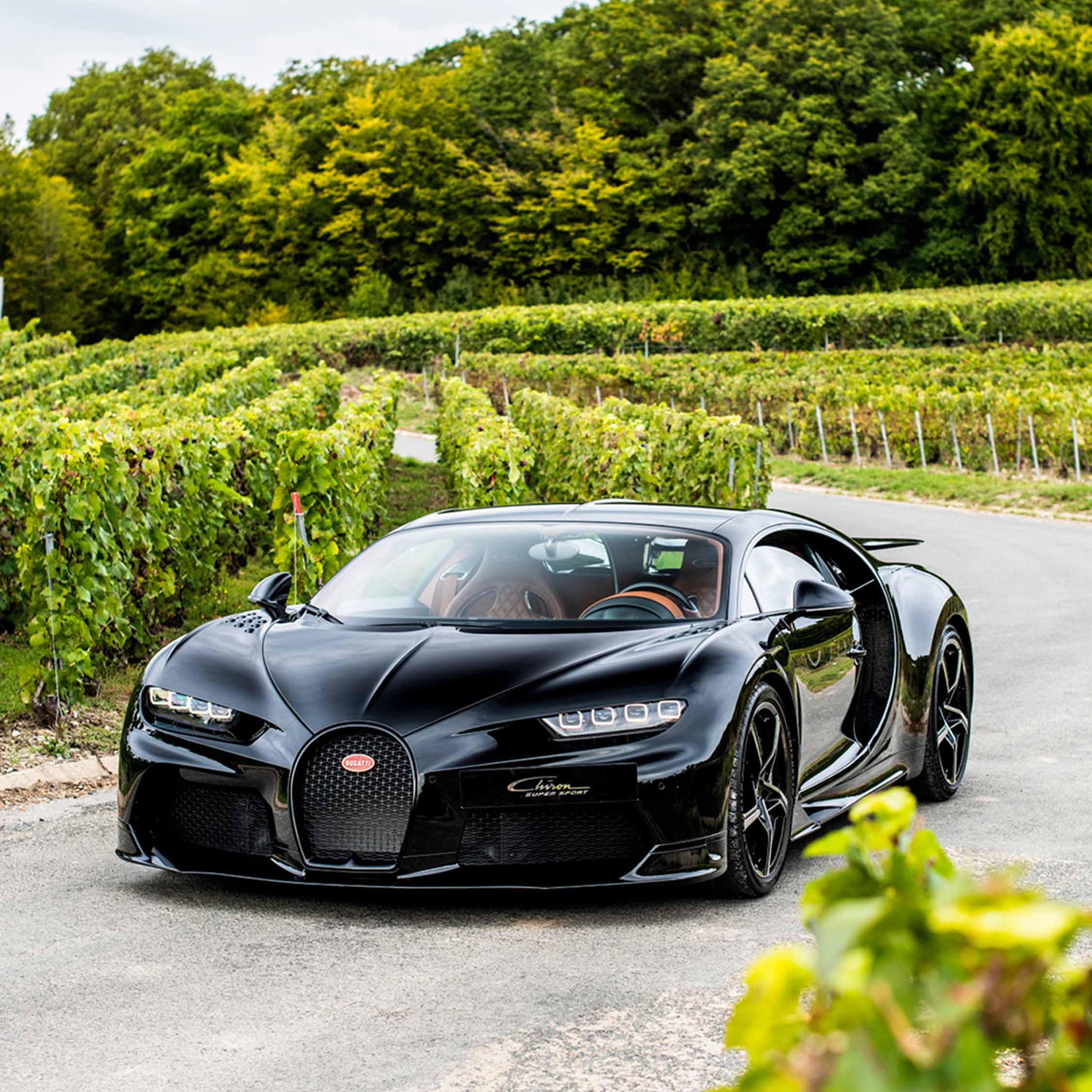 BUGATTI CHAMPAGNE CARBON EB01 - Image 4