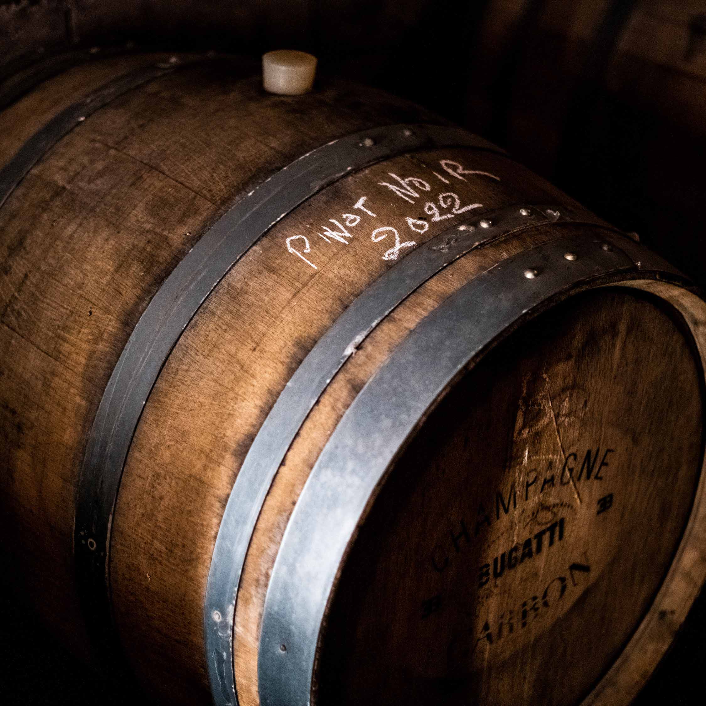 BUGATTI CHAMPAGNE CARBON EB03 - Image 6